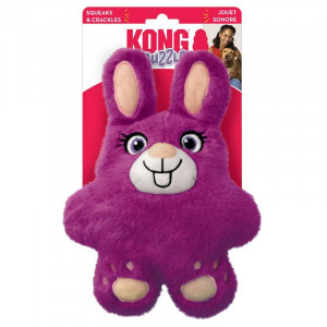 KGSNZ24E